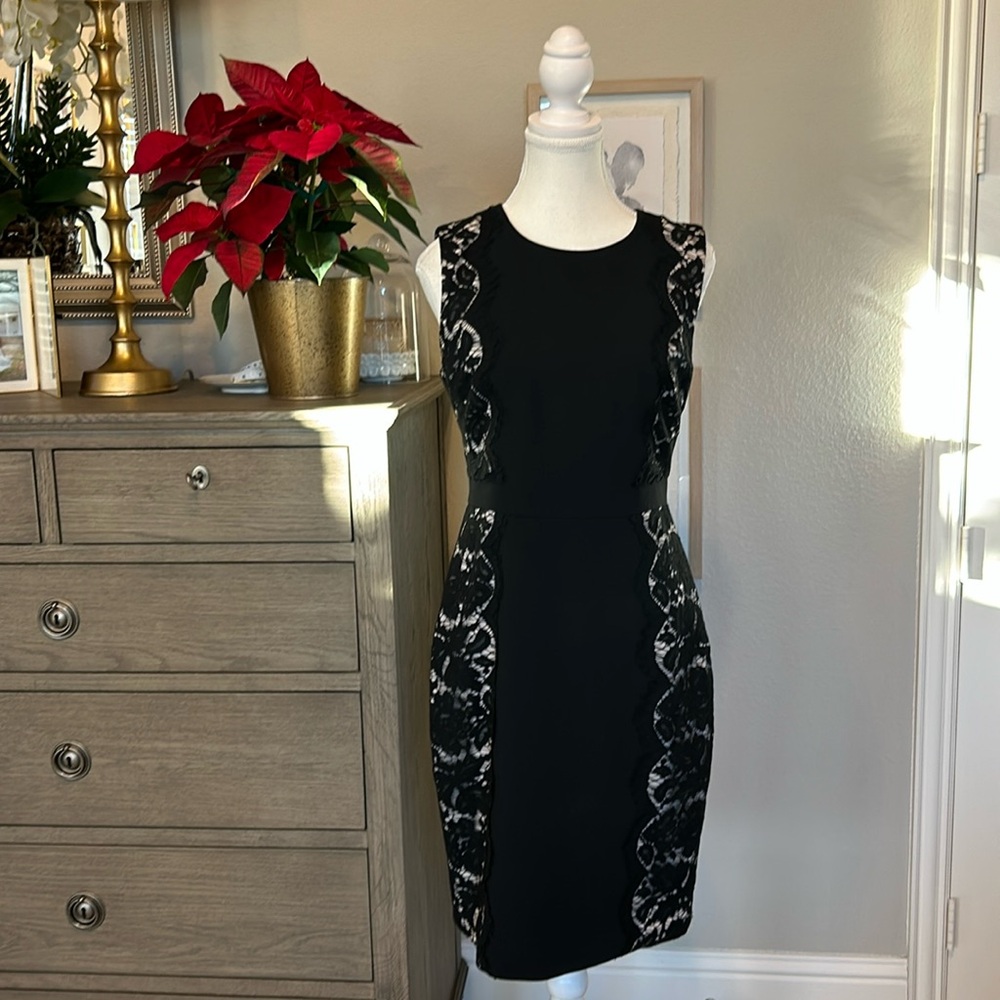 J Crew | Black & Ivory Lace Side Panel Sheath Dress | 4